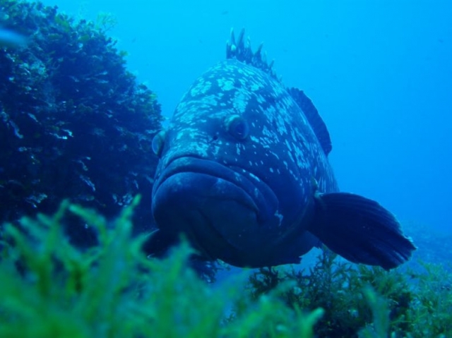  Der Meeresboden der Inseln 